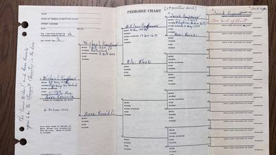 R. W. Coffman pedigree Chart 3 — the Swiss Kauffman candidates, after 1936