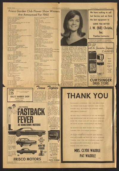 Page 2 of The Frisco Enterprise (Frisco, Tex.), 11 November 1965