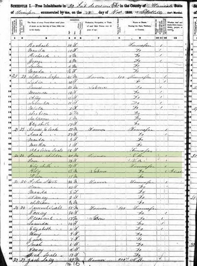 1850 census, James and Nancy Wilder household, Hancock County, Tennessee