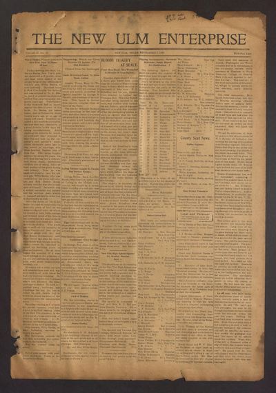 The New Ulm Enterprise (New Ulm, Tex.) — page 1