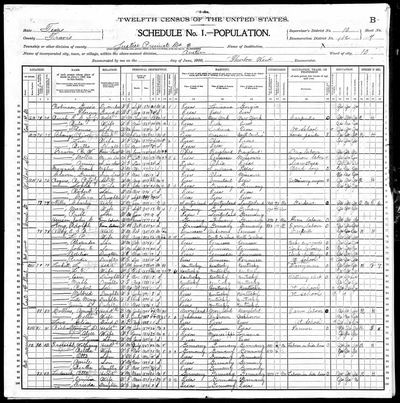 Otto Ladusch household — 1900 and 1910 census PAGE IMAGES, Austin, Travis Co., Texas (read 2026-09-23, batch 6)