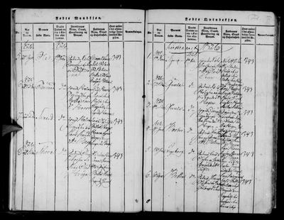 Ole Nilsen Lone — Røldal ministerialbok 1817-1856 (1229Q), Digitalarkivet source 11629 — page fol. 17, 1826, no. 5