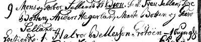 Røldal ministerialbok 1780-1816 (1229Q), Digitalarkivet source 11628 · S1695 — page p. 20, 2 July 1796, no. 9