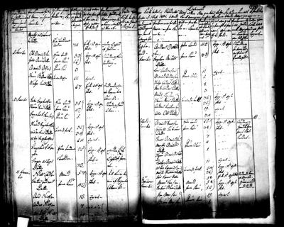 1801 census of Norway — Suldal prestegjeld (1134P), pp. 437b–438a, Digitalarkivet image ft20090806680262 · S1694 — page p. 438a