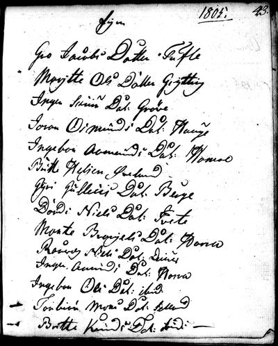 Røldal ministerialbok 1780-1816 (1229Q), Digitalarkivet source 11628 · S1764 — page p. 43, confirmations of 1805, girls no. 13