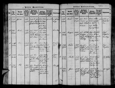 Røldal ministerialbok 1817-1856 (1229Q), Digitalarkivet source 11629 — page p. 72, 1849, no. 11