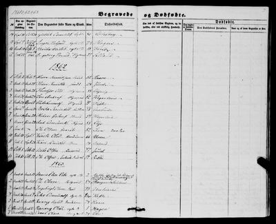 Ingebjørg Ivarsdatter Selland — Røldal ministerialbok 1856-1870 (1229Q), Digitalarkivet source 8300 — page p. 71, 1861 series, no. 17 (buried 1862)