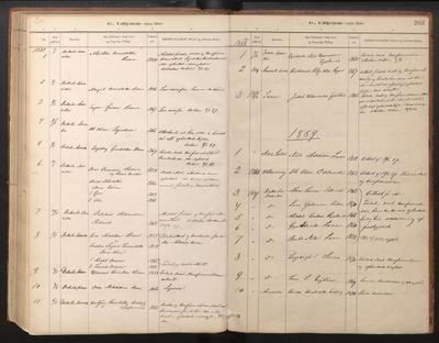 Røldal parish register (ministerialbok), Hordaland, Norway — page folio 203, 1889, no. 3