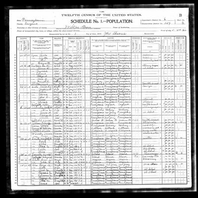 1900 U.S. Federal Census — Wilkes-Barre city, Ward 5, 2nd Division, Luzerne County, Pennsylvania; SD 6, ED 159, sheet 2 B, house 8, dwelling 38, family 44, enumerated 1 June 1900 by John Shadrach (Ancestry coll. 7602, record 47094515; image 4115129_00218) · full resolution 3933 × 3947 px, DeepZoom level 12, 64/64 tiles — page sheet 2B, lines 71–75